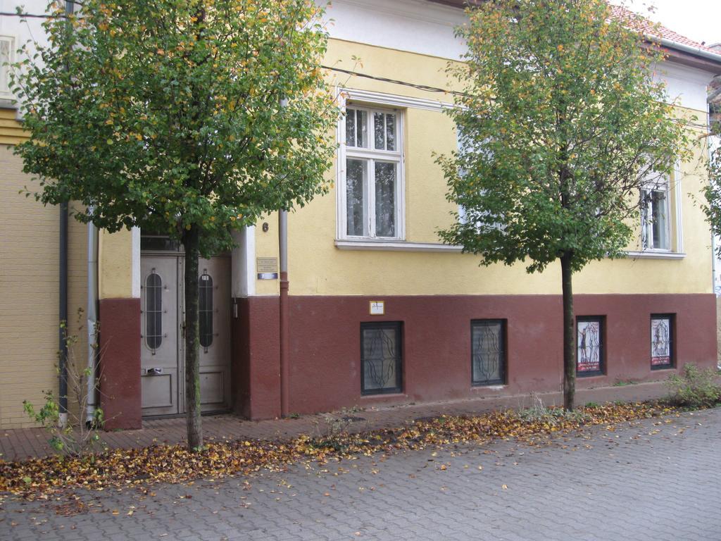 Lyrius Vendeghaz - Debrecen Apartment Exterior foto